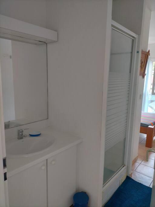 Bel Appartement Avec Piscine, Face A La Mer Gourbeyre 外观 照片